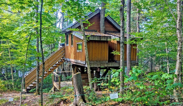 Perched treehouse with a tree growing through the deck | Lodging #08 in Mont-Blanc