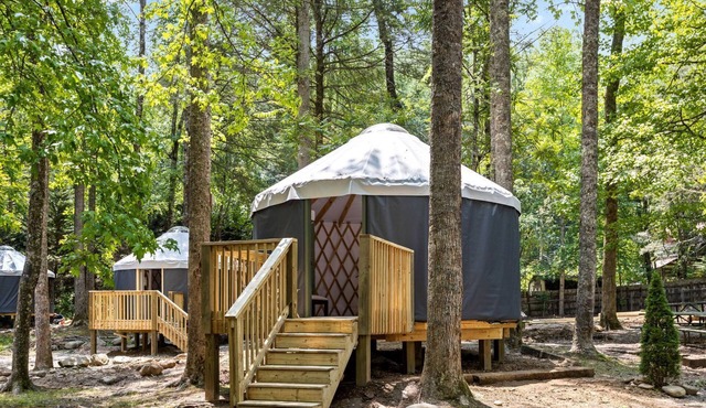 Pet-Friendly Glamping Destination near Gatlinburg, Tennessee, Perfect Romantic Getaways