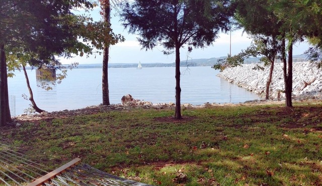 Pet Friendly Tiny House- Lake Guntersville