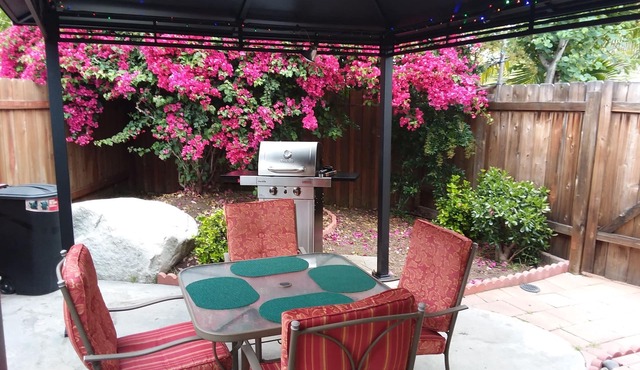 Private Quiet House Centrally Located in Oceanside