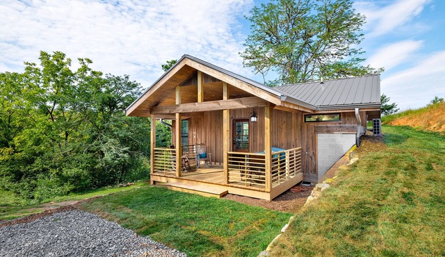 Private Quiet Mountain Modern Cabin! 25 mins from Downtown Asheville