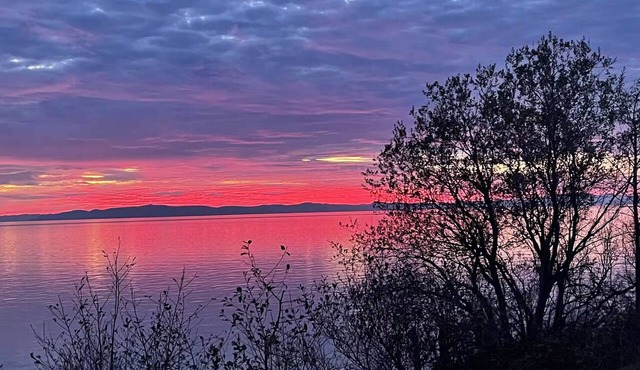 Private Rustic Birch Bay Hideaway with Acreage and Expansive Island Views!