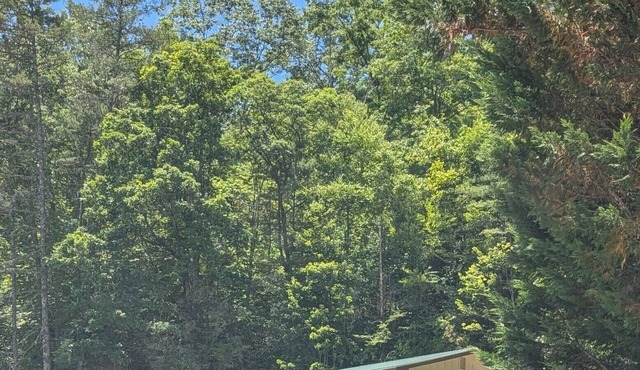 Quiet 3-bedroom house in Lake Toxaway. Short drive to many waterfalls.