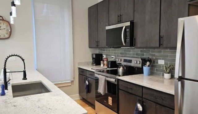 Renovated 3 Bedroom Chicago Downtown Pilsen in Chicago