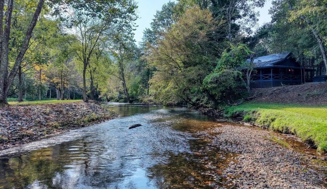 River Ben - 2-bedroom cabin in serene Suches with AC
