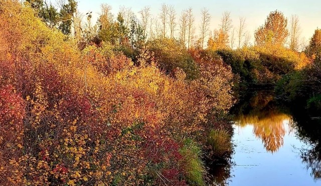Riverside Acres in Vimy