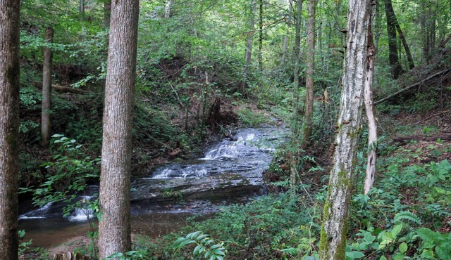 Romantic Riverside Retreat with Waterfall Trail at Your Door in Clarkesville