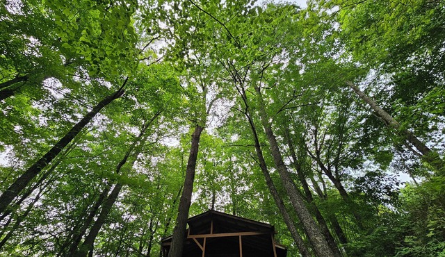 Romantic Summer Couples Escape: Private Hot Tub + EV Charger + 600Mbps WiFi