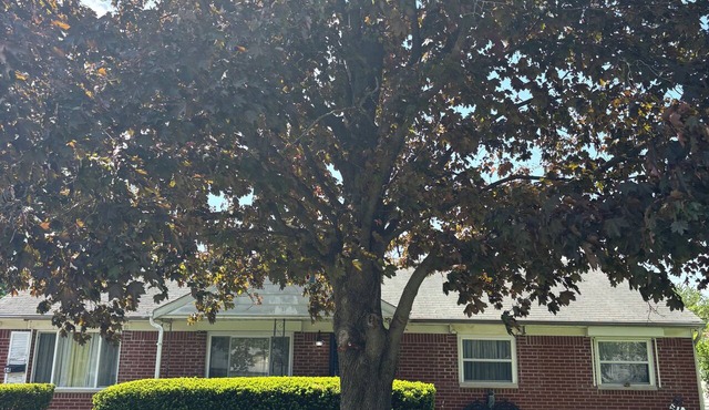 Rustic Charm 3-bedroom 2-bath house in beautiful Greenwood with AC & HOT SPA in Greenwood