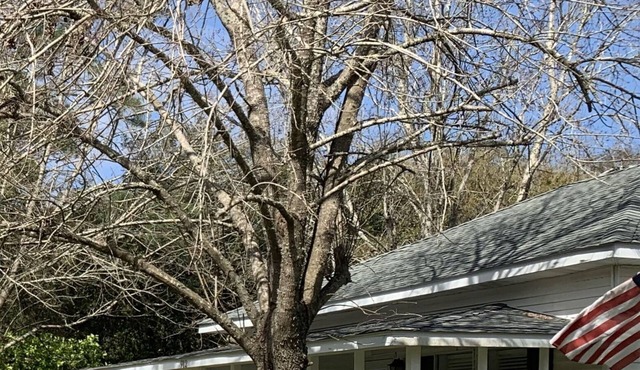 Sandy Hook - A Charming Cottage in Dauphin Island Village
