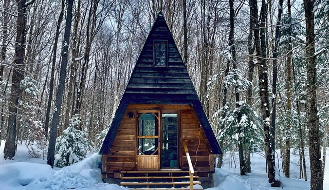 Secluded A Frame Cabin, On 27 Acres by the Lake in Maynooth