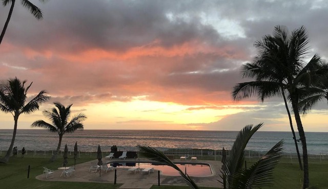 *SERENDIPITY ON THE MOANA - Legal & Oceanfront - Great for Work & Play!* in Waianae