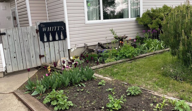 Shared space quiet neighborhood bedroom/bath/living area with shared kitchen in North Battleford