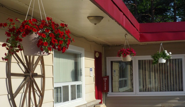 Silver Birch Motel in Central Huron