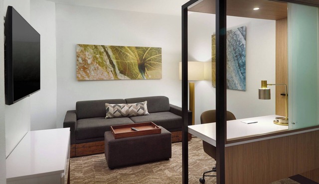 Springhill Suites By Marriott Ellijay