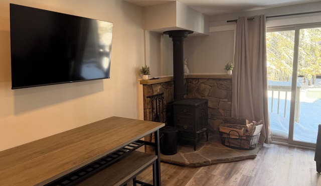 SR 41 Cozy Ski-Out Completely Remodeled Shamrock Retreat in Snowshoe