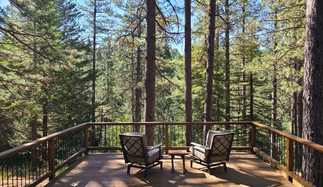Studio in Forest with Vineyard in Mountain Ranch