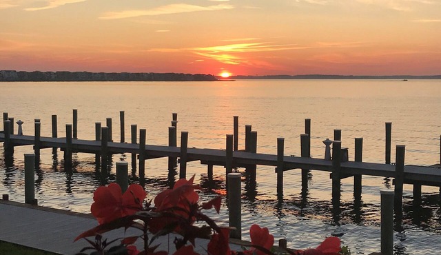 Thunder Island Bayfront Condo - Walk to Beach - next to Convention Center in Ocean City