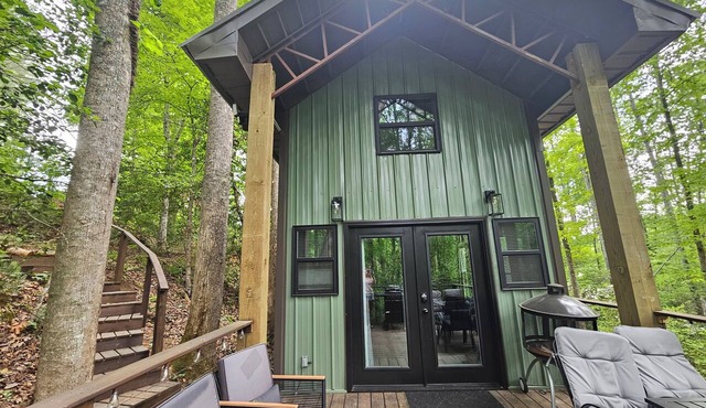 Tiny home in the trees