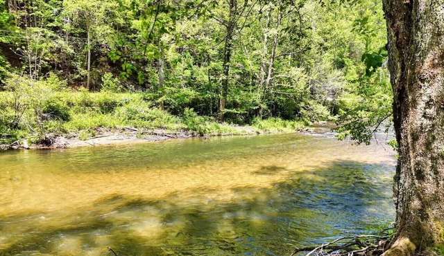 Toccoa River Cabin - Private Fishing Retreat, Summer on the Toccoa River!
