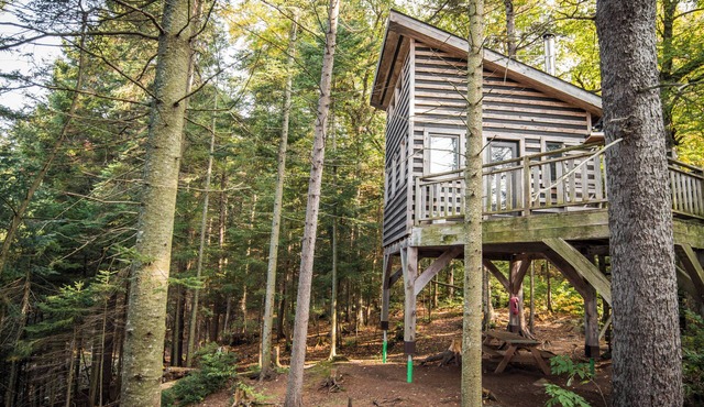 Treehouse with lake view | Lodging #05 in Mont-Blanc