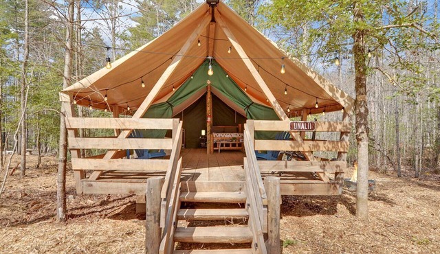 Ultimate Glamping Adventure in Suches, Georgia with a Safari Tent Retreat in Suches