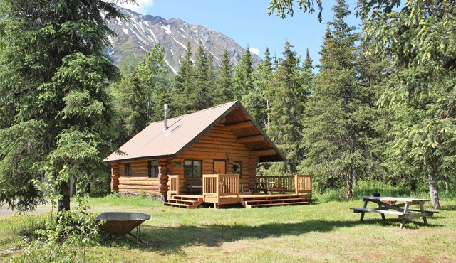 Upper Paradise Log Cabin - Nightly Rental in the Woods in Moose Pass