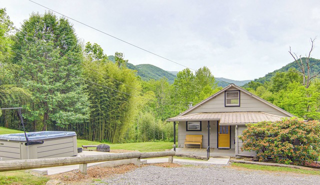 Vintage Farm Cottage Near Hikes & Pigeon River