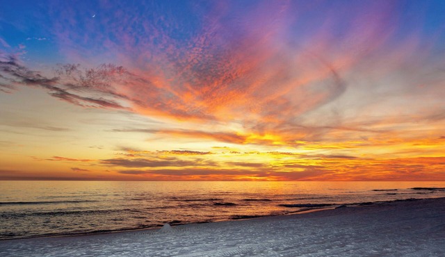 Welcome to Blue Surf 22 ~ Newly Remodeled Coastal Condo with FREE Beach Service