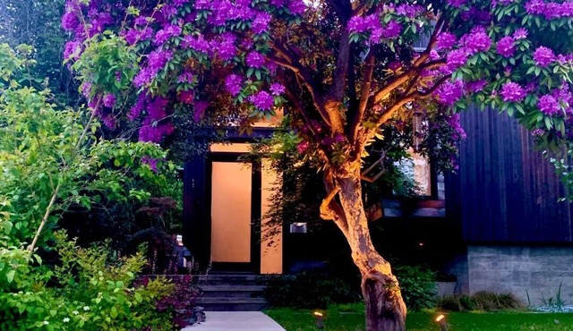 Wonderful Arboretum 3br custom home w/spectacular outdoor living