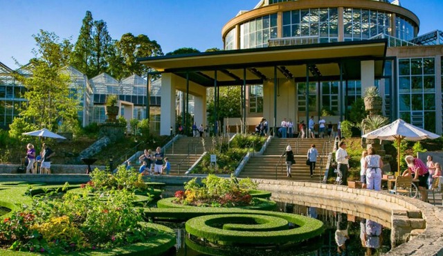 Your Home Away From Home! Short Drive to Georgia Aquarium, Pet-Friendly