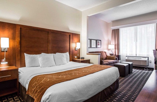 Comfort Inn Summerville - Charleston