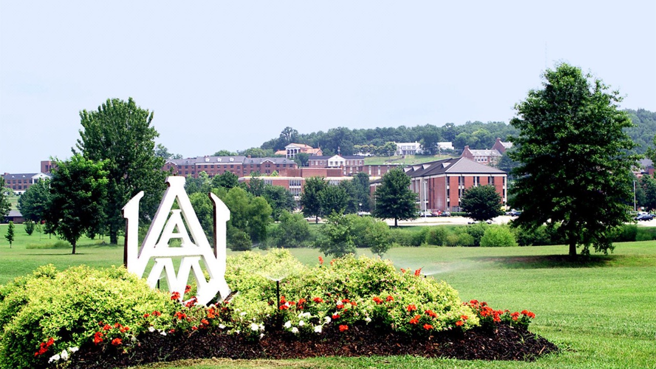 Photo of Buildings in Huntsville