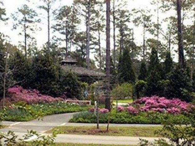 Photo of Others in Peachtree City