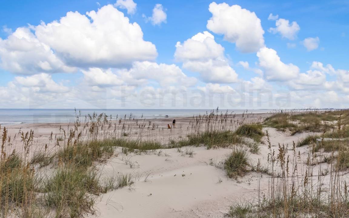 Photo of Others in Fernandina Beach