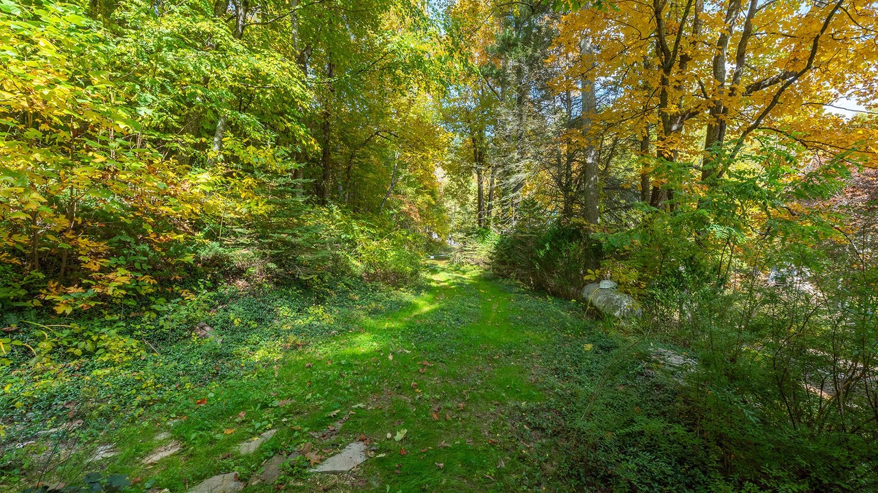 Photo of Outdoor in Spruce Pine