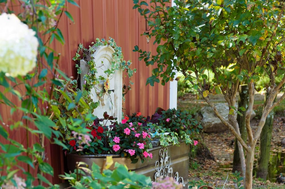 Photo of Outdoor in Mentone