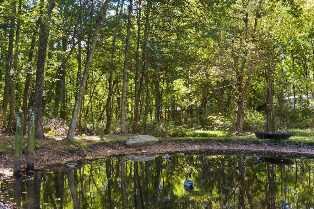 Photo of Outdoor in Mentone
