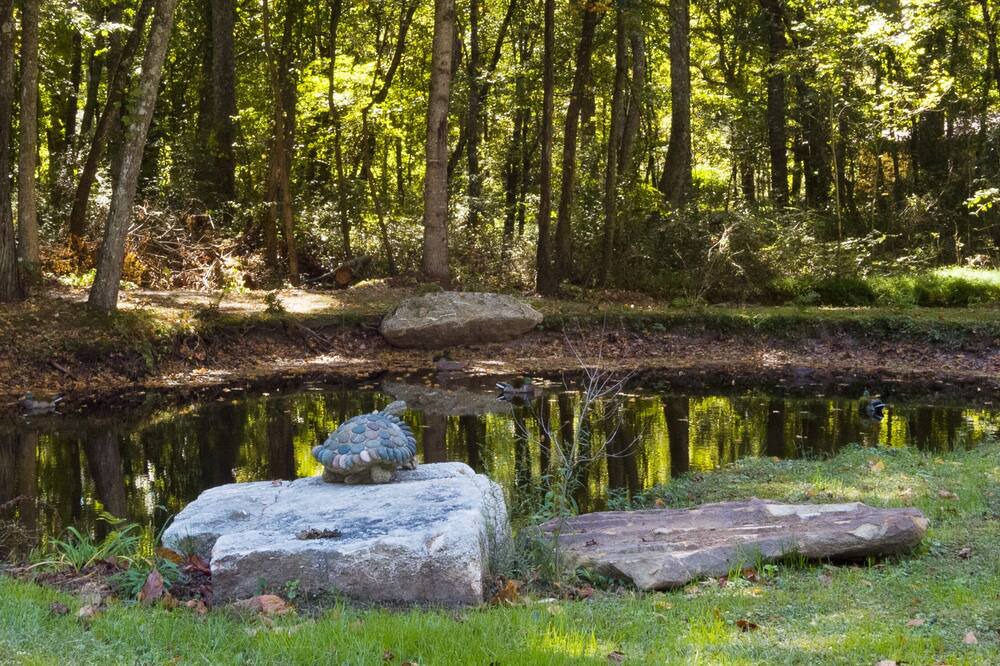 Photo of Outdoor in Mentone