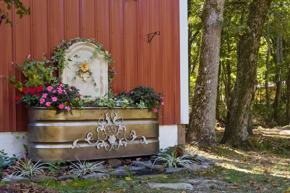 Photo of Outdoor in Mentone