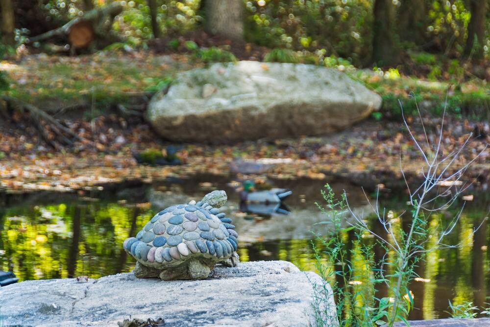 Photo of Outdoor in Mentone