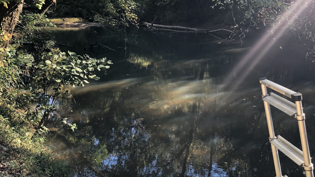 Photo of Outdoor in Felton