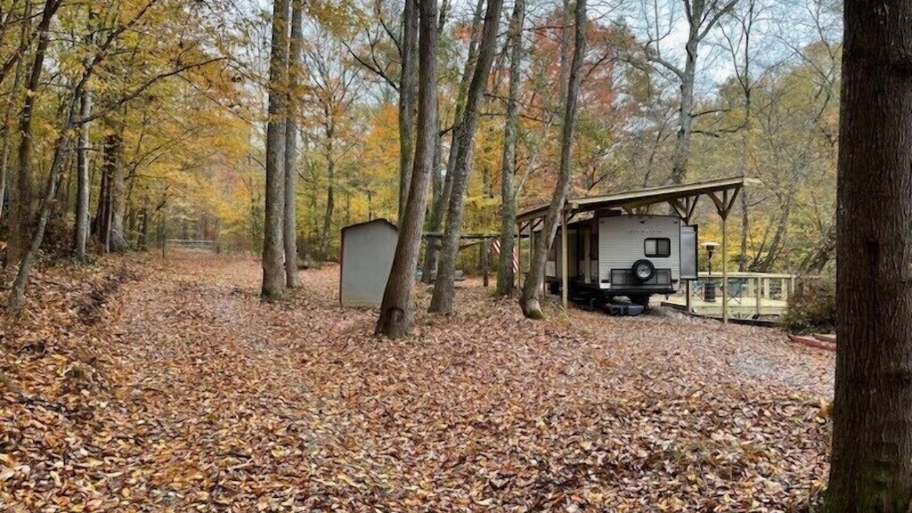 Photo of Others in Felton