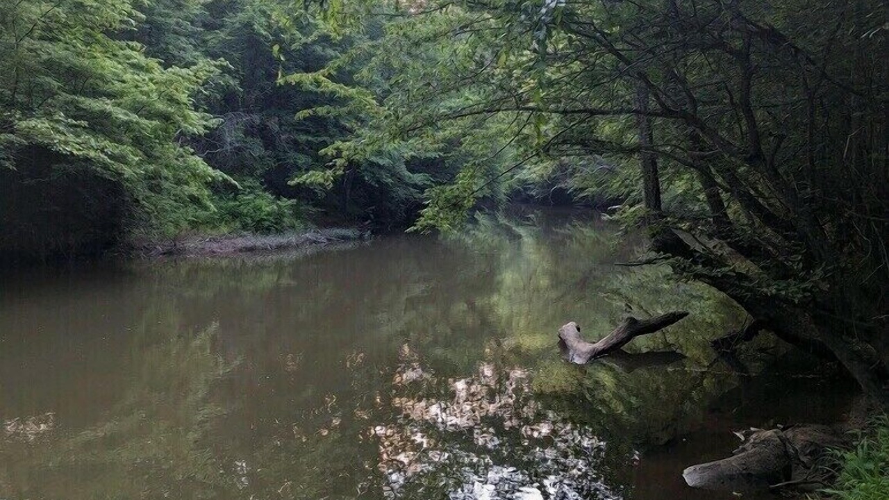 Photo of Others in Felton