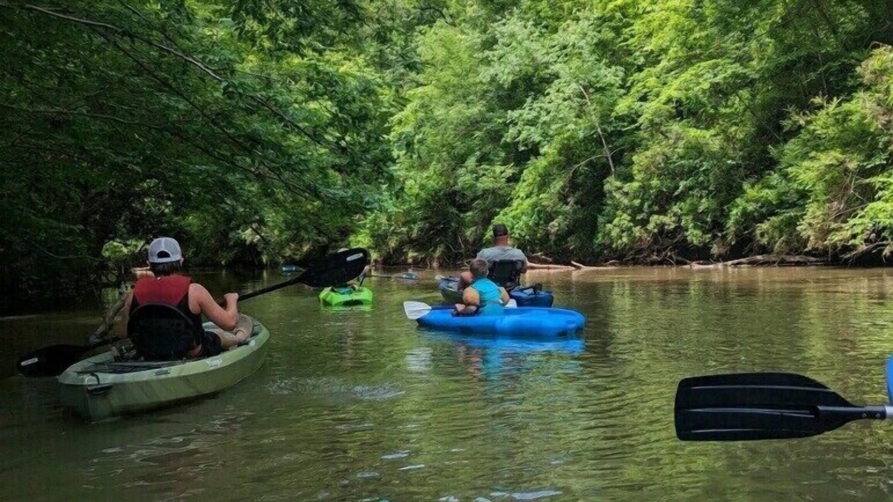Photo of Others in Felton