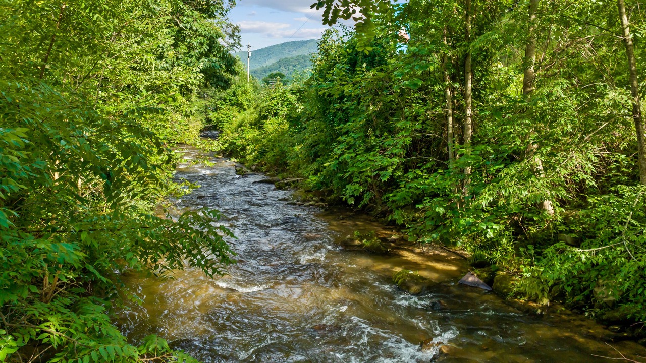 Photo of Outdoor in Maggie Valley