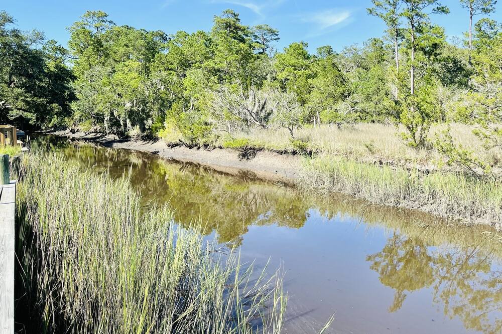 Photo of Others in Johns Island