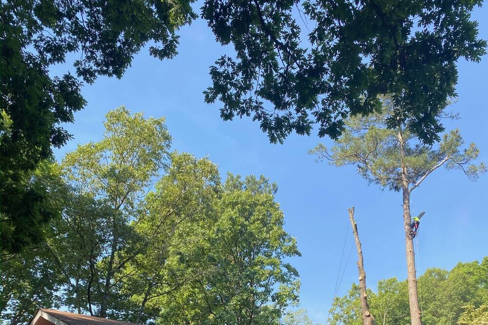 Photo of Outdoor in Forest Park