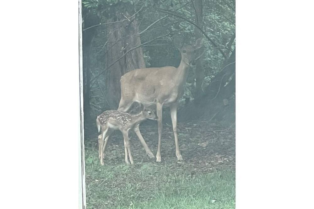 Photo of Outdoor in Eatonton