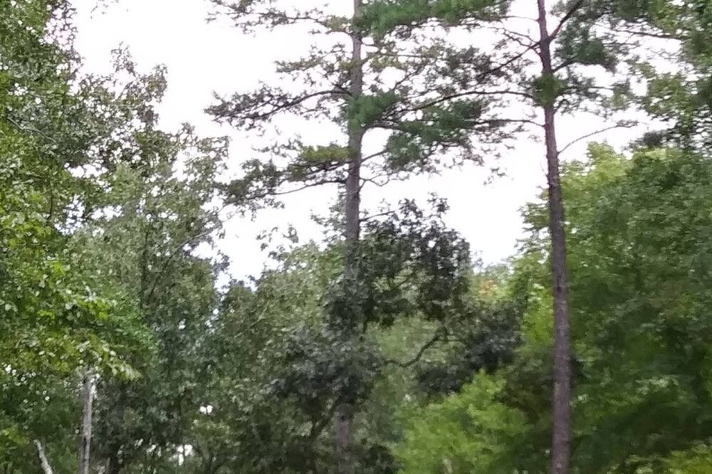 Photo of Outdoor in Eatonton